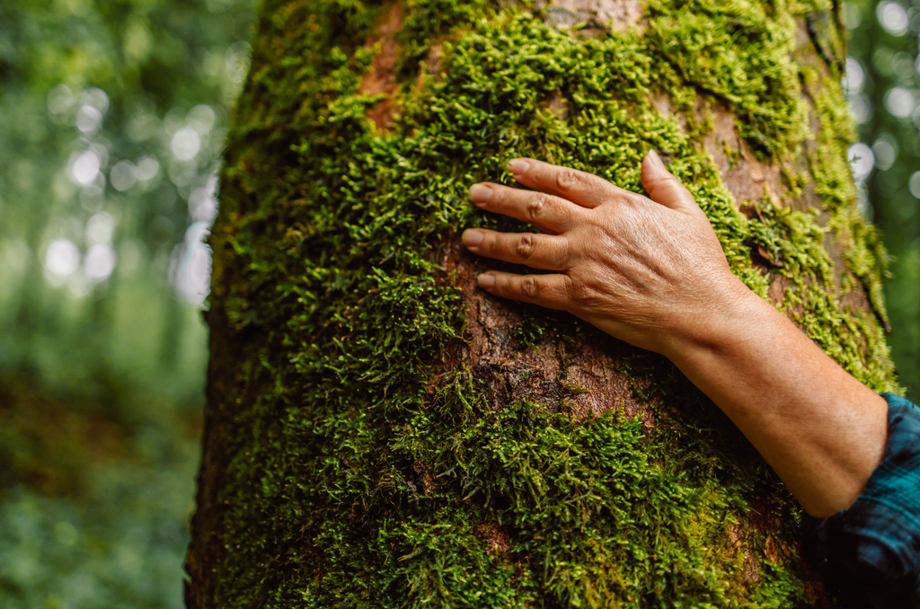 Responsabilidad con el medio ambiente Dexis