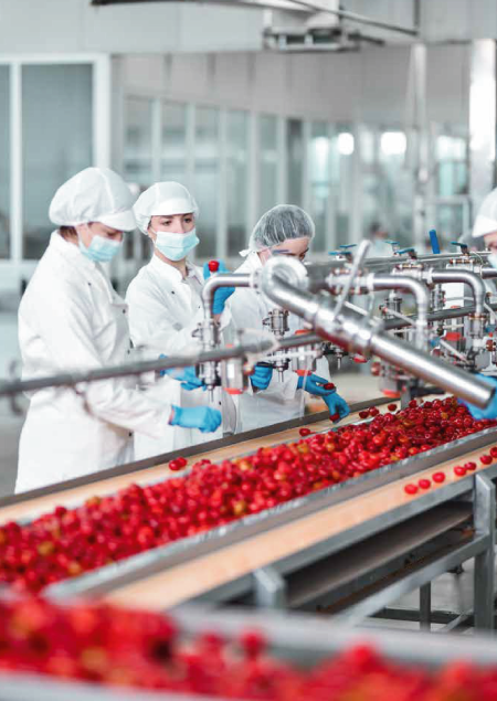 Soluciones productivas parala industria alimentaria